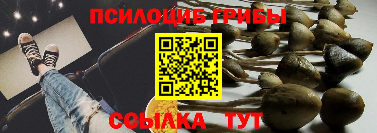 Псилоцибиновые грибы Psilocybe  Вход с VPN  Галлюциногенные грибы Psilocybe  Казань 